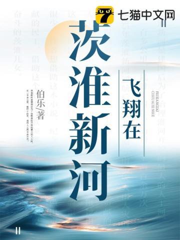 茨淮新河用了多少人力