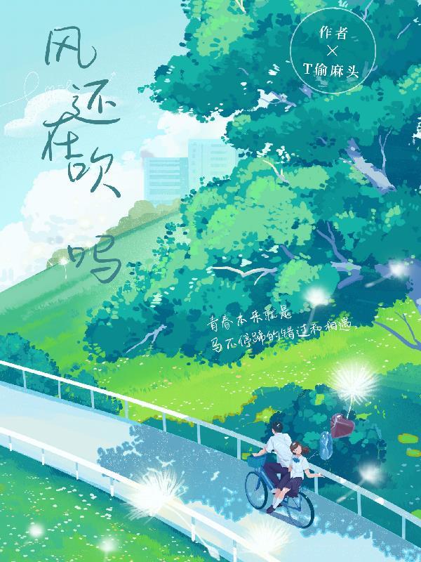 风还在吹吗txt电子书